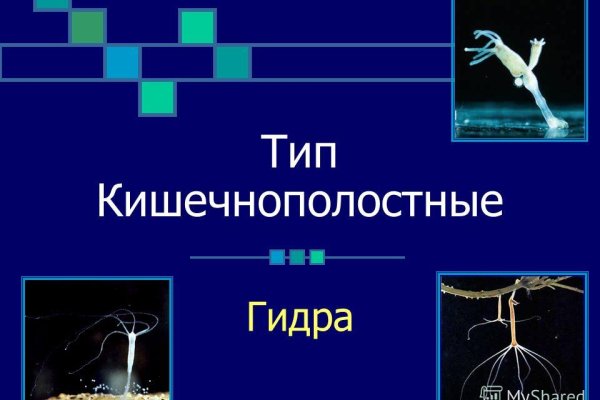 Кракен наркокортель