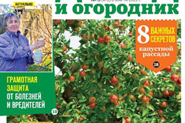 Кракен маркерлейс оф вход
